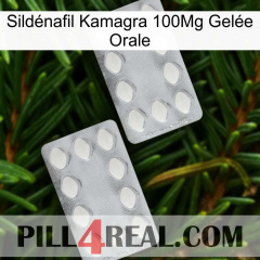 Sildénafil Kamagra 100Mg Gelée Orale 17